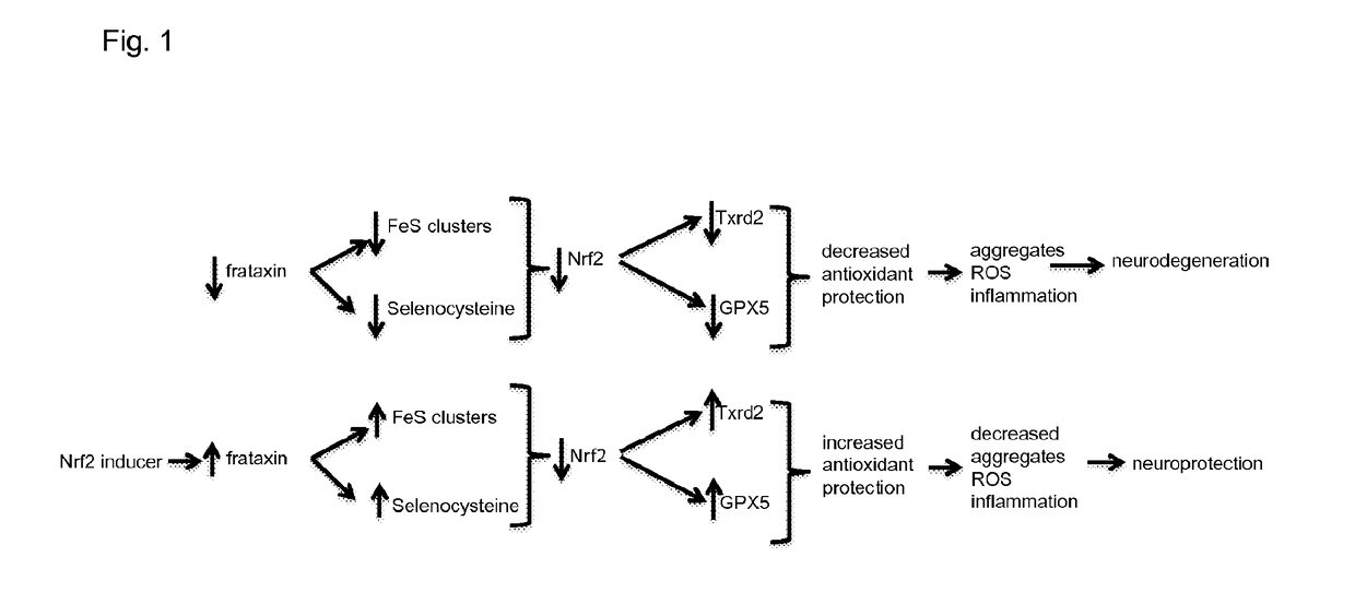 Agents useful for treating friedreich's ataxia and other neurodegenerative diseases