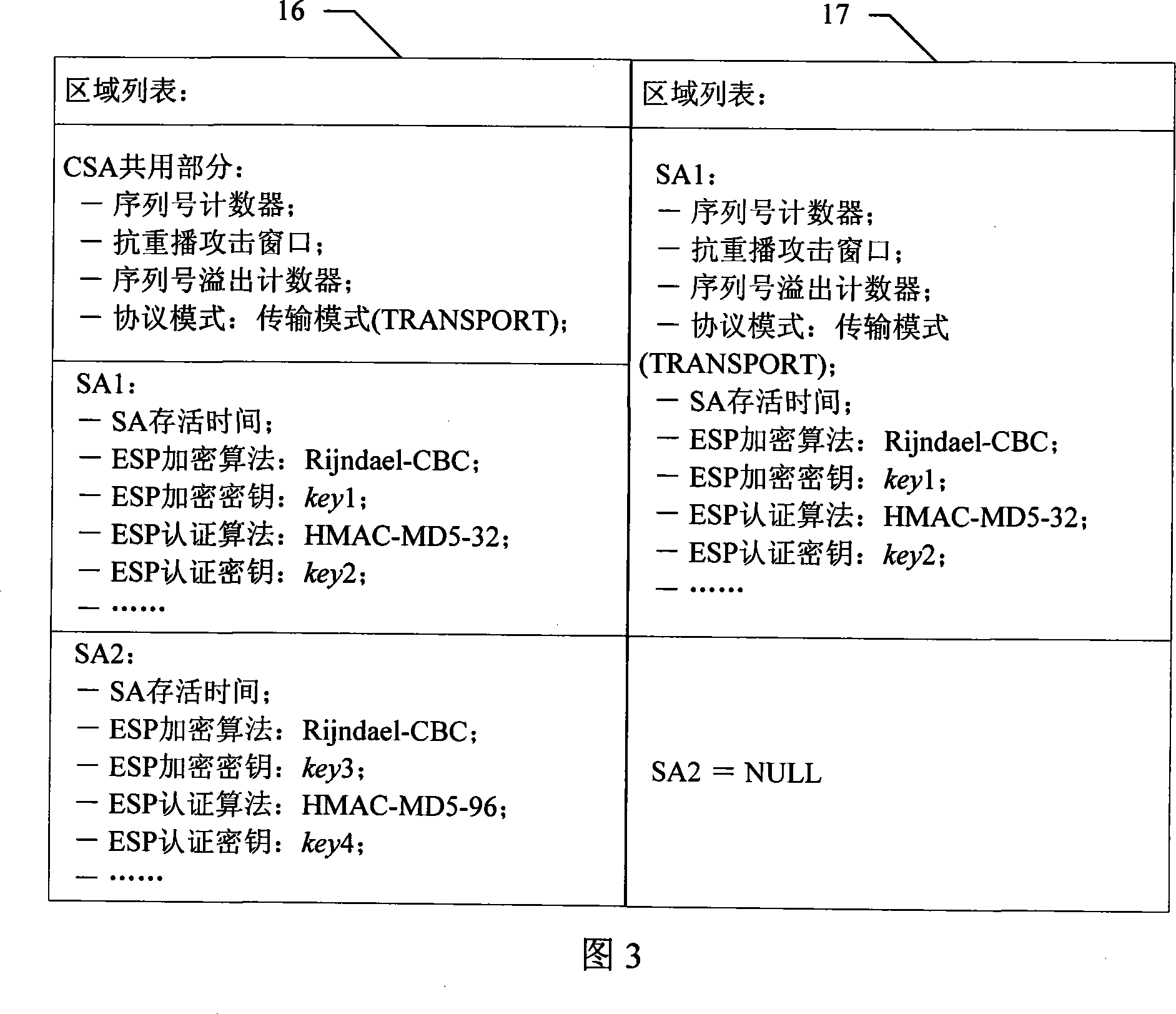 Wireless IP network variable area communicating method based on IPSec protocol