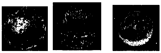 Active agent for lead-free solder paste, preparation method thereof and lead-free solder paste