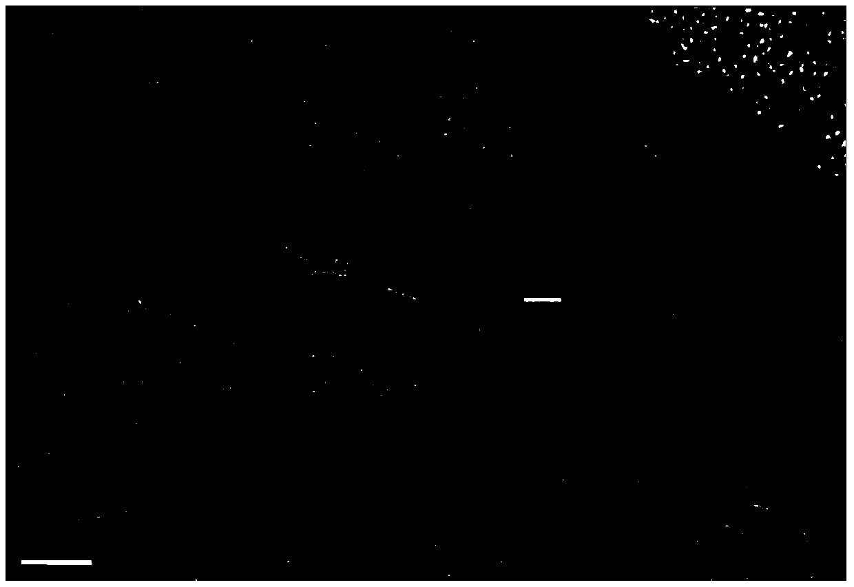 A kind of preparation method of cu:zno/n:rgo composite photocatalyst