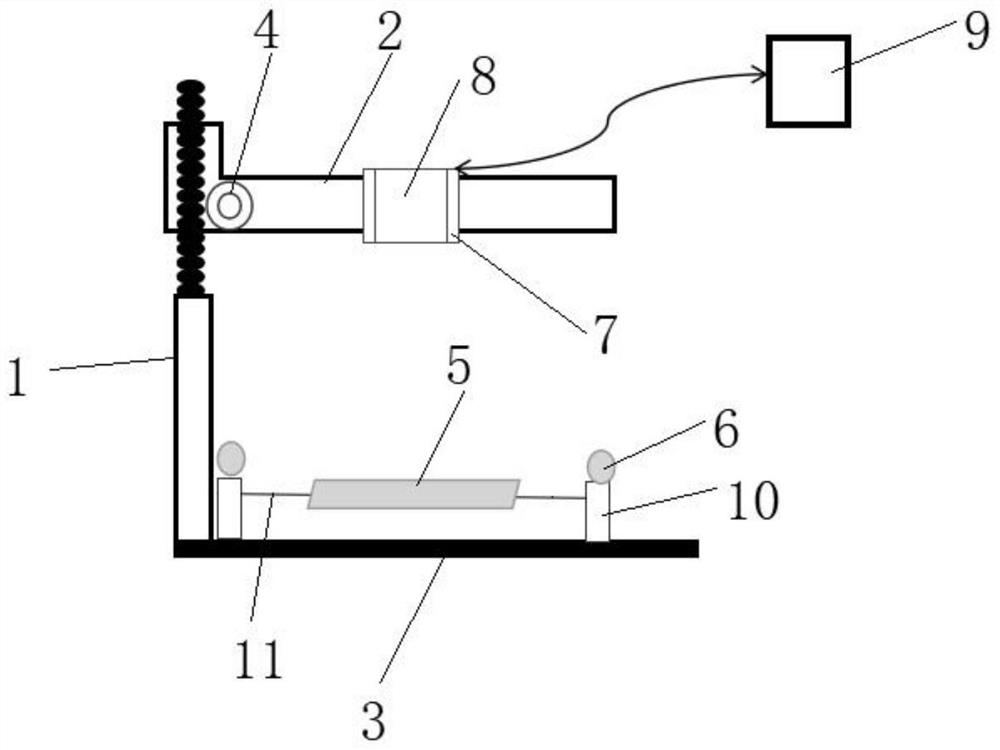 Device for measuring forms of leeches and measuring method thereof