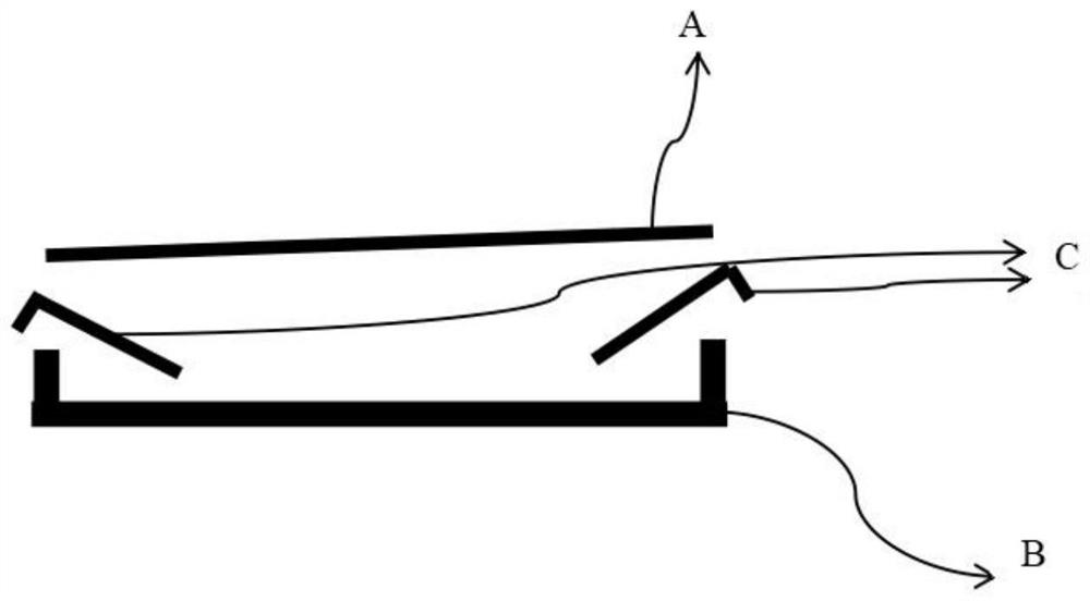 Device for measuring forms of leeches and measuring method thereof