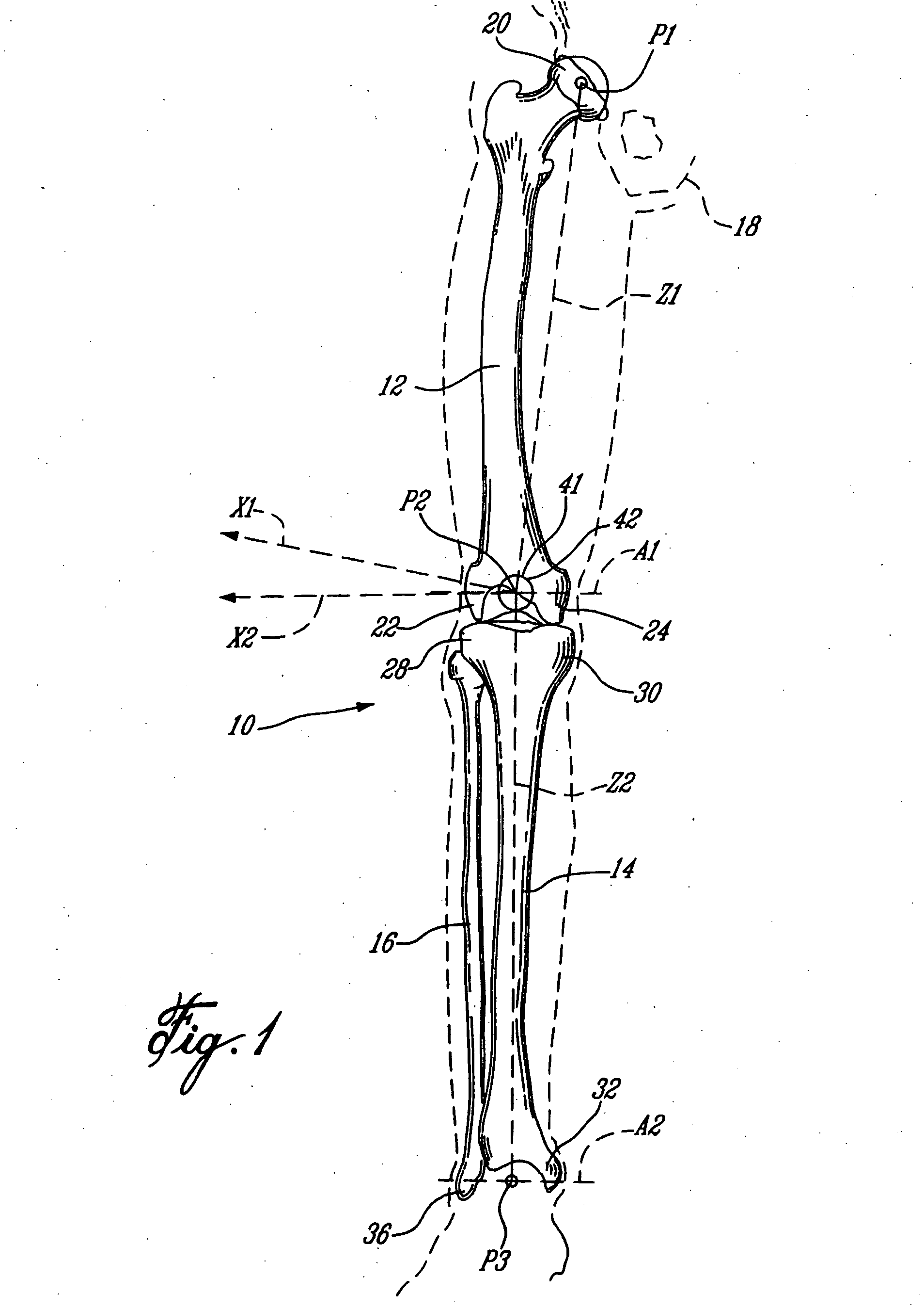 Method of calibration for the representation of knee kinematics and harness for use therewith