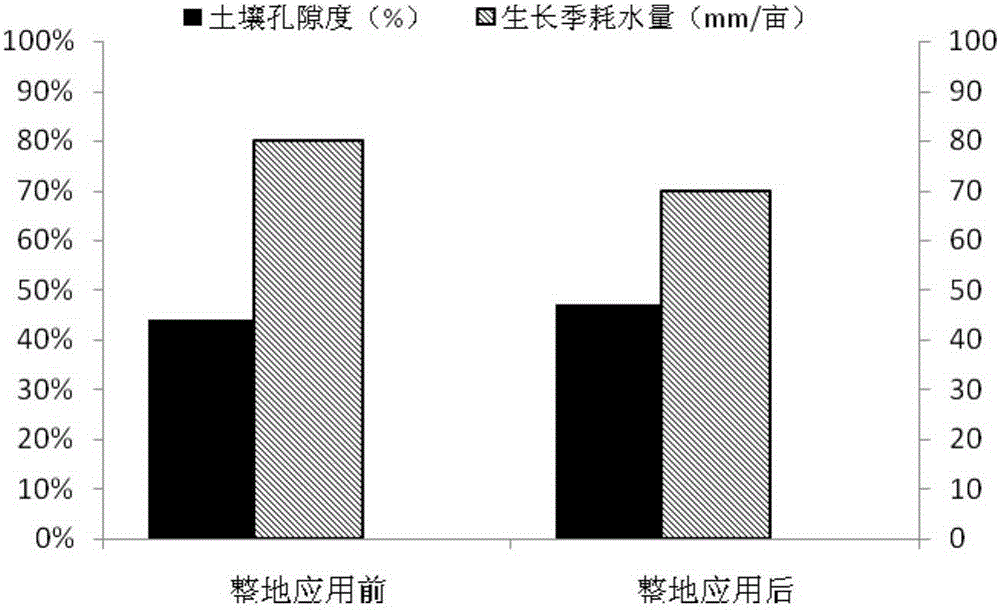 Afforestation and soil preparation method for water conservation forest in north China