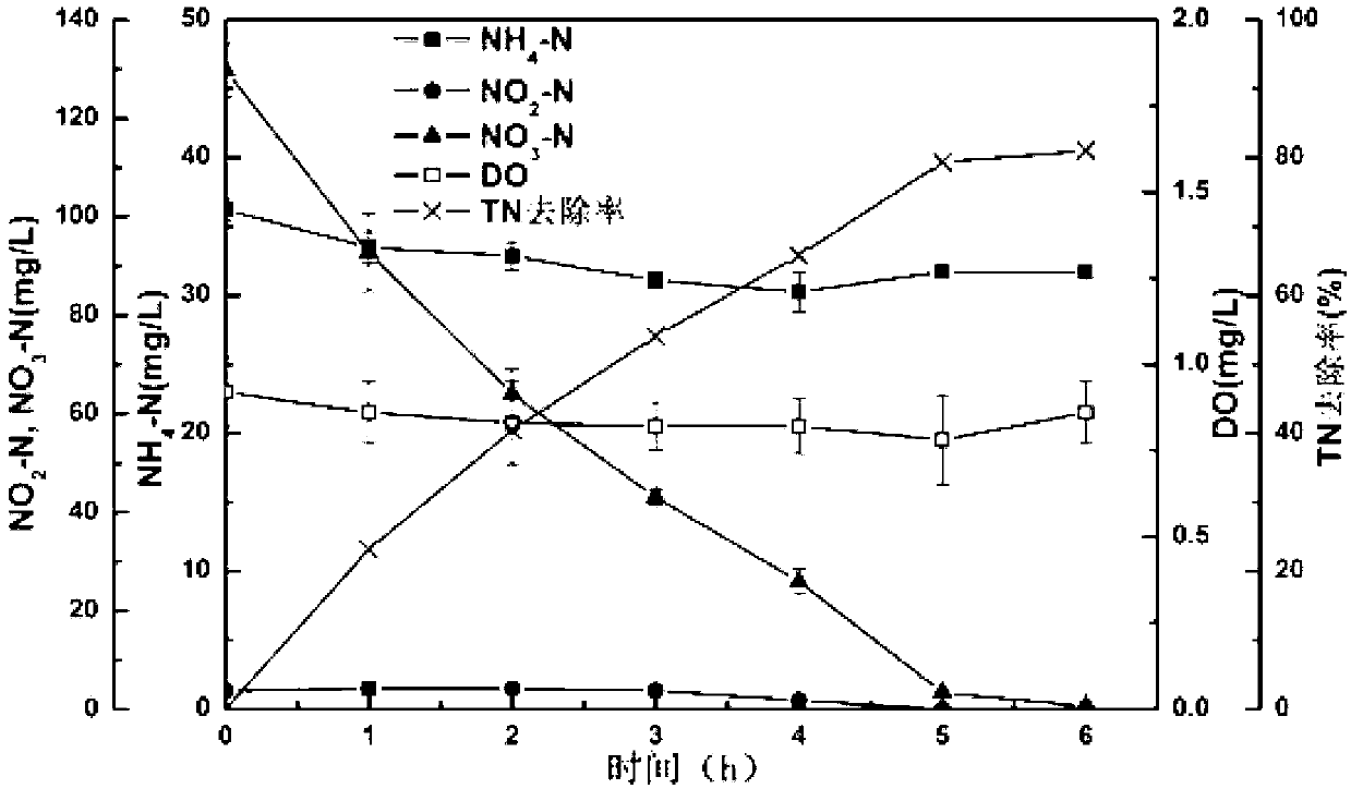 Enrichment of low temperature-resistant heterotrophic simultaneous nitrification-denitrification microbial agent and application thereof in anoxic denitrification of sewage