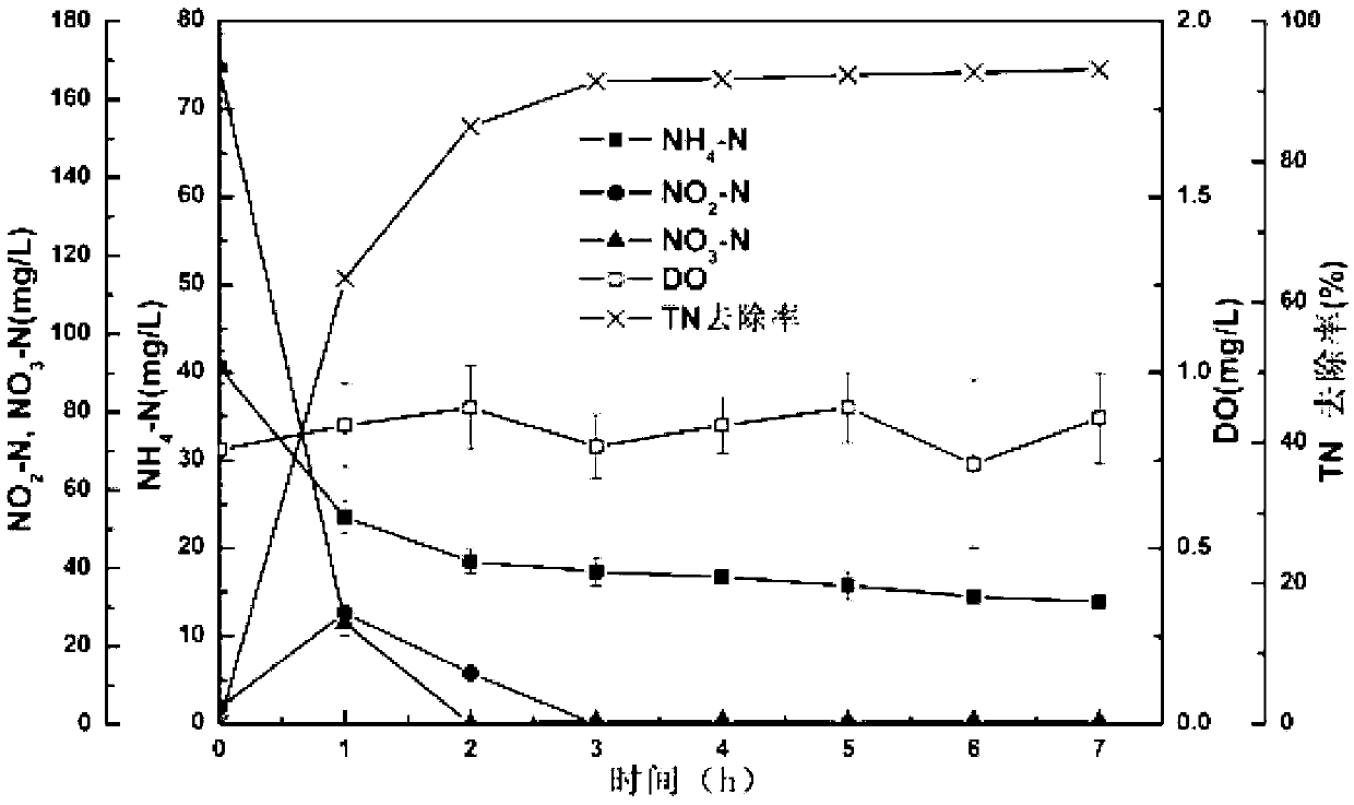 Enrichment of low temperature-resistant heterotrophic simultaneous nitrification-denitrification microbial agent and application thereof in anoxic denitrification of sewage