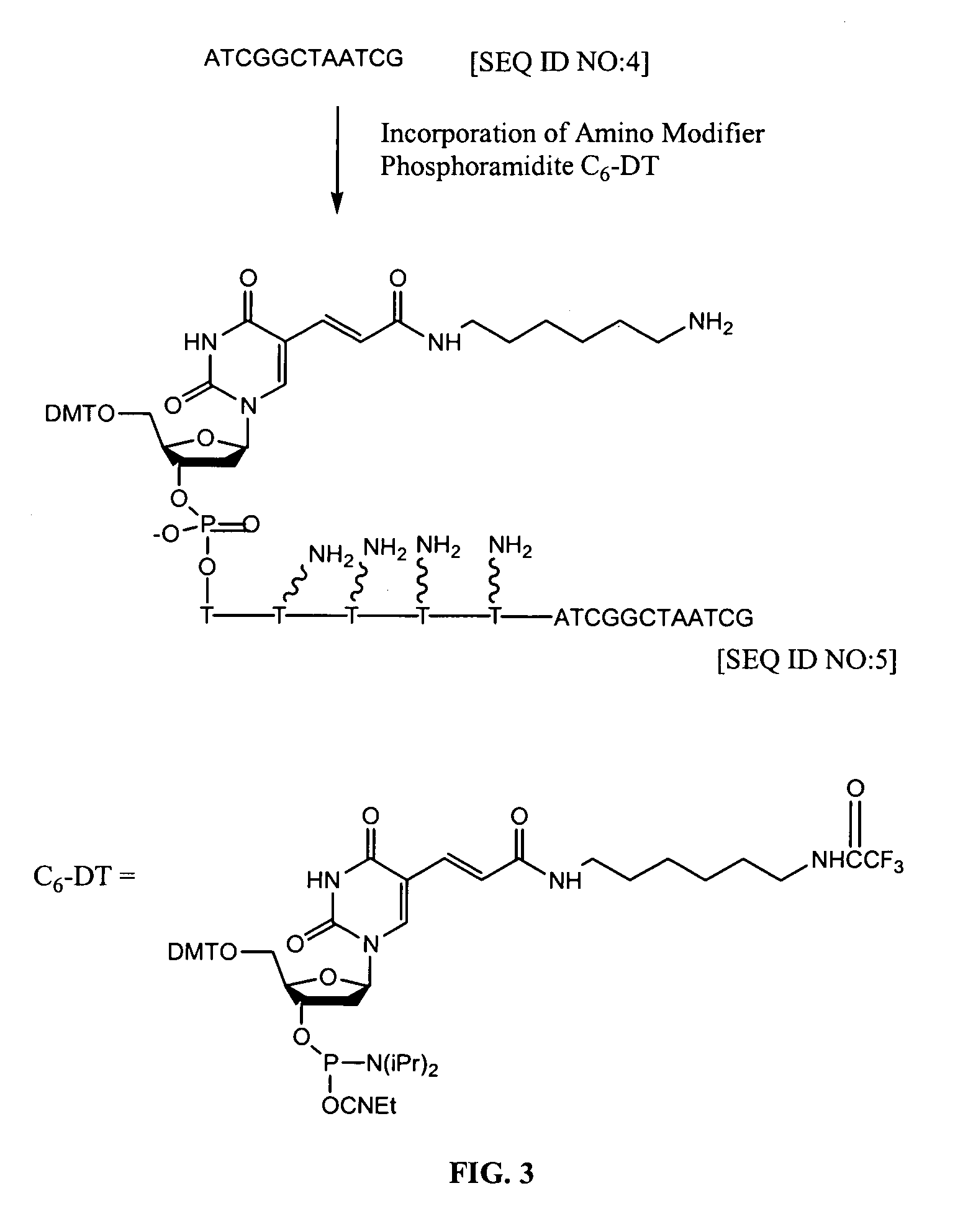 Bioconjugate-nanoparticle probes