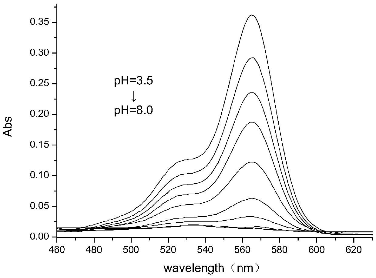 Six-membered spiro rhodamine pH fluorescent indicator containing urea structure and application thereof