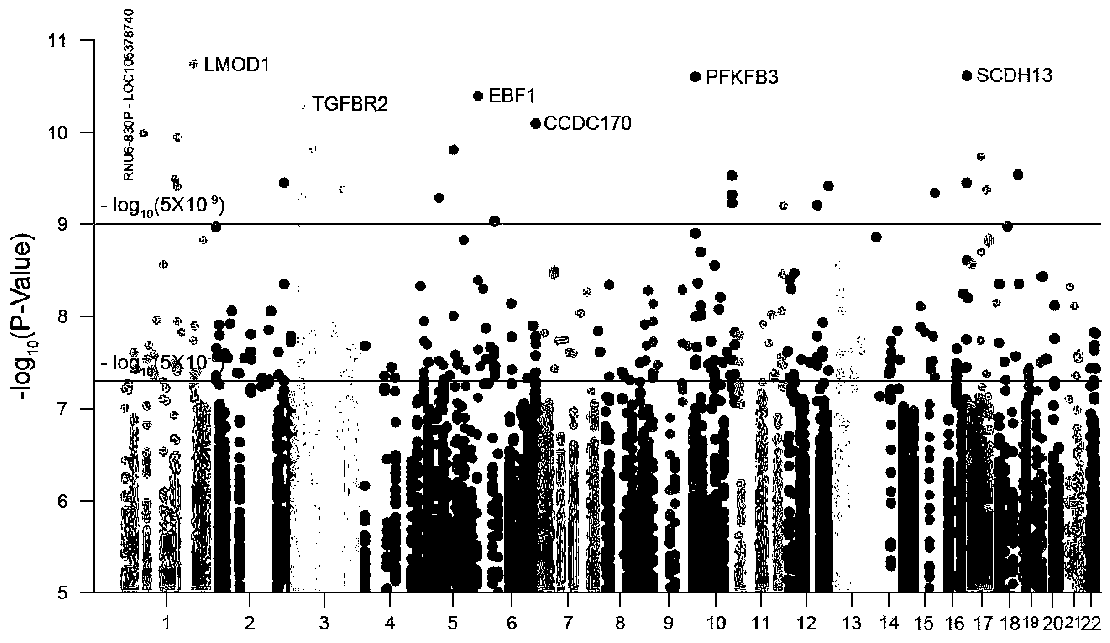 Multi-layer network model construction method and application with cancer-related SNP, gene, miRNA and protein interaction