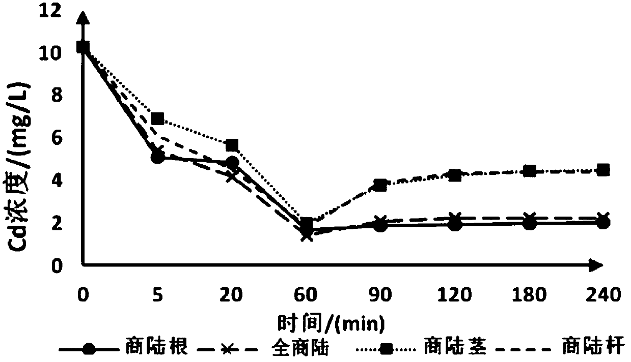 Plant type biochar adsorbing heavy metal Cd in water body and preparation method and application of biochar