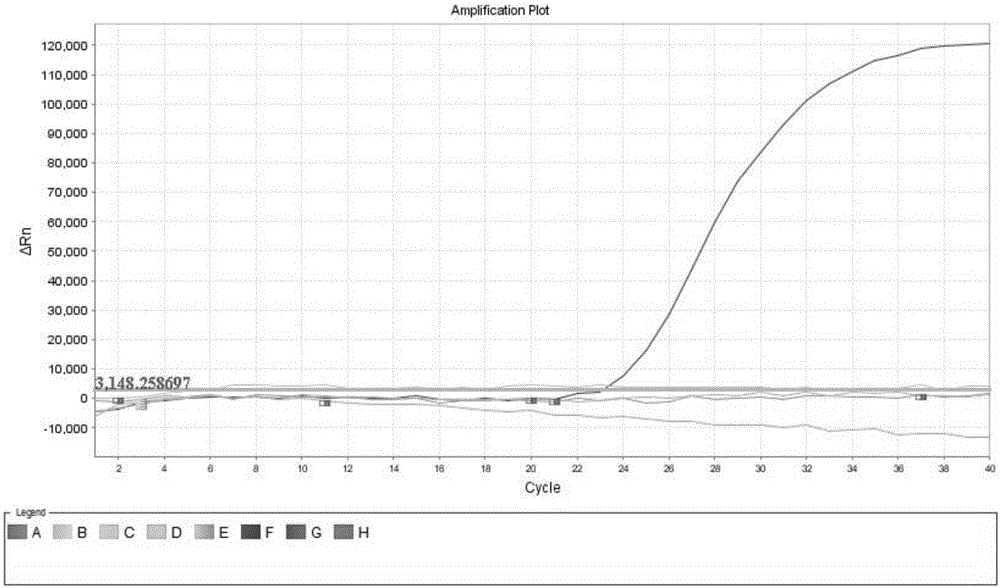 K sub-group ALV (avian leukosis virus) fluorescent quantitation RT-PCR (reverse transcription-polymerase chain reaction) detection primer group and kit