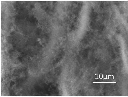 Photocatalytic film and method for preparing photocatalytic film by vapor deposition method