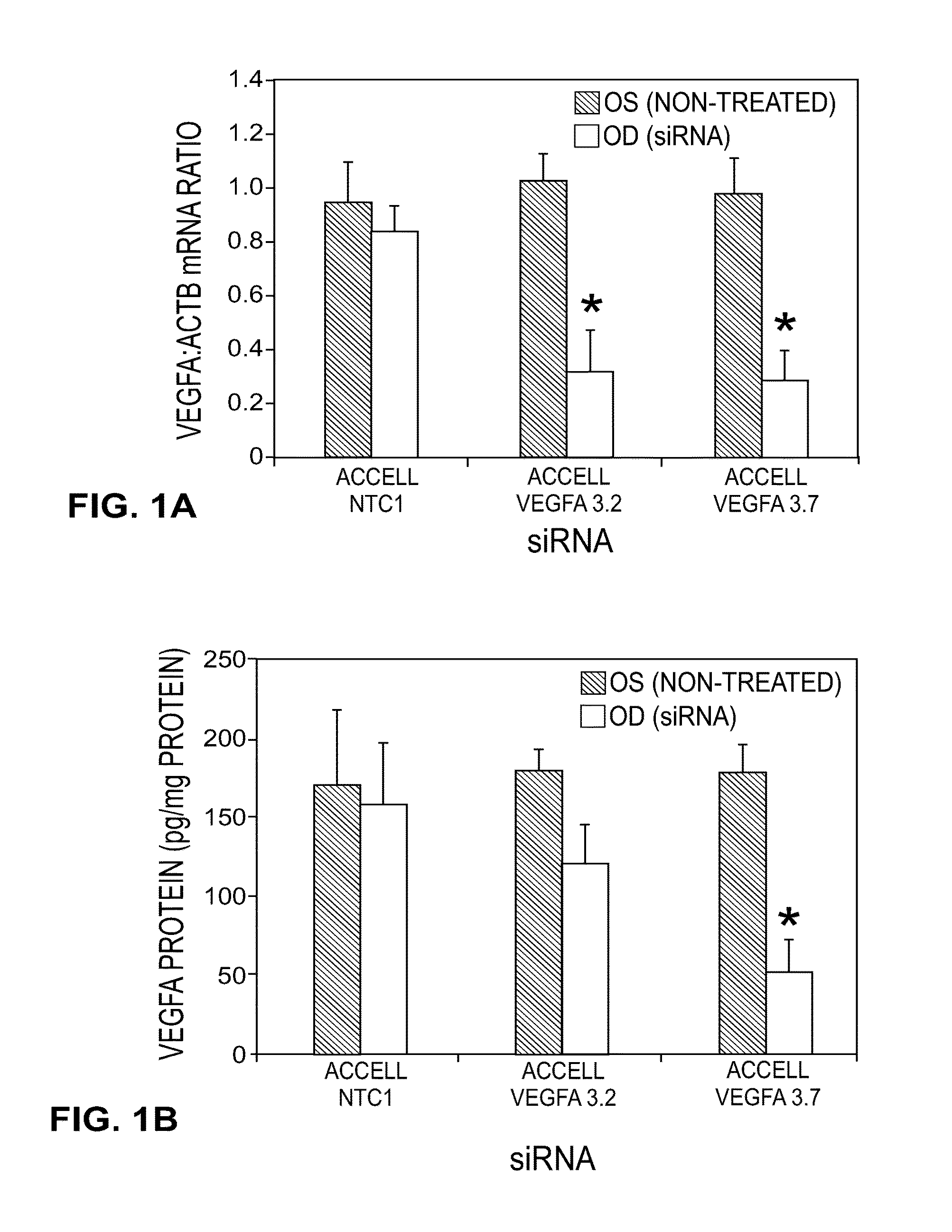 siRNA targeting VEGFA and methods for treatment in vivo