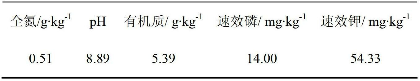 Special fertilizer for populus tomentosa seedlings and preparation method thereof