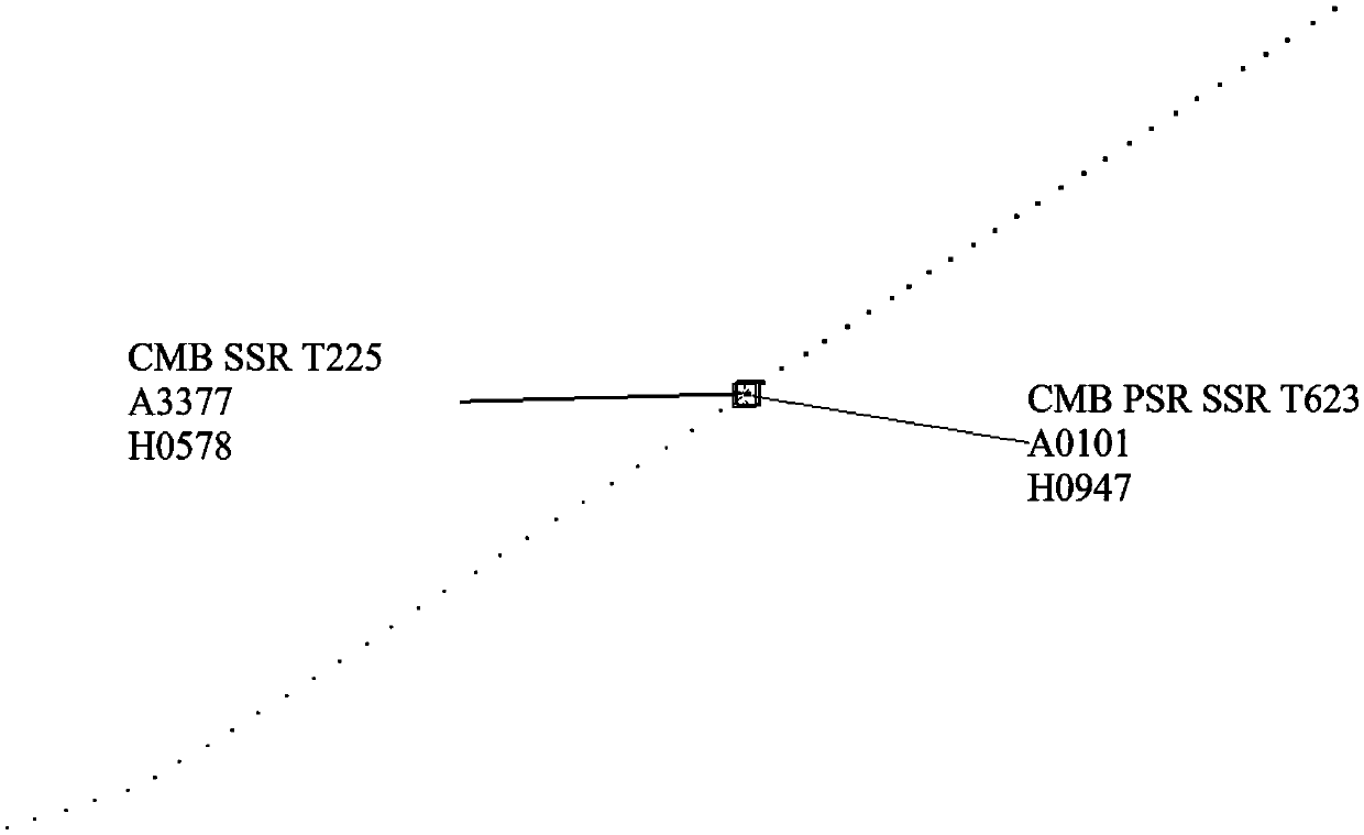 Weighted nearest-neighbor data association method for centralized multi-radar data processing process