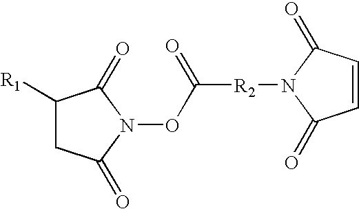 Peptide-based oral care surface reagents for personal care