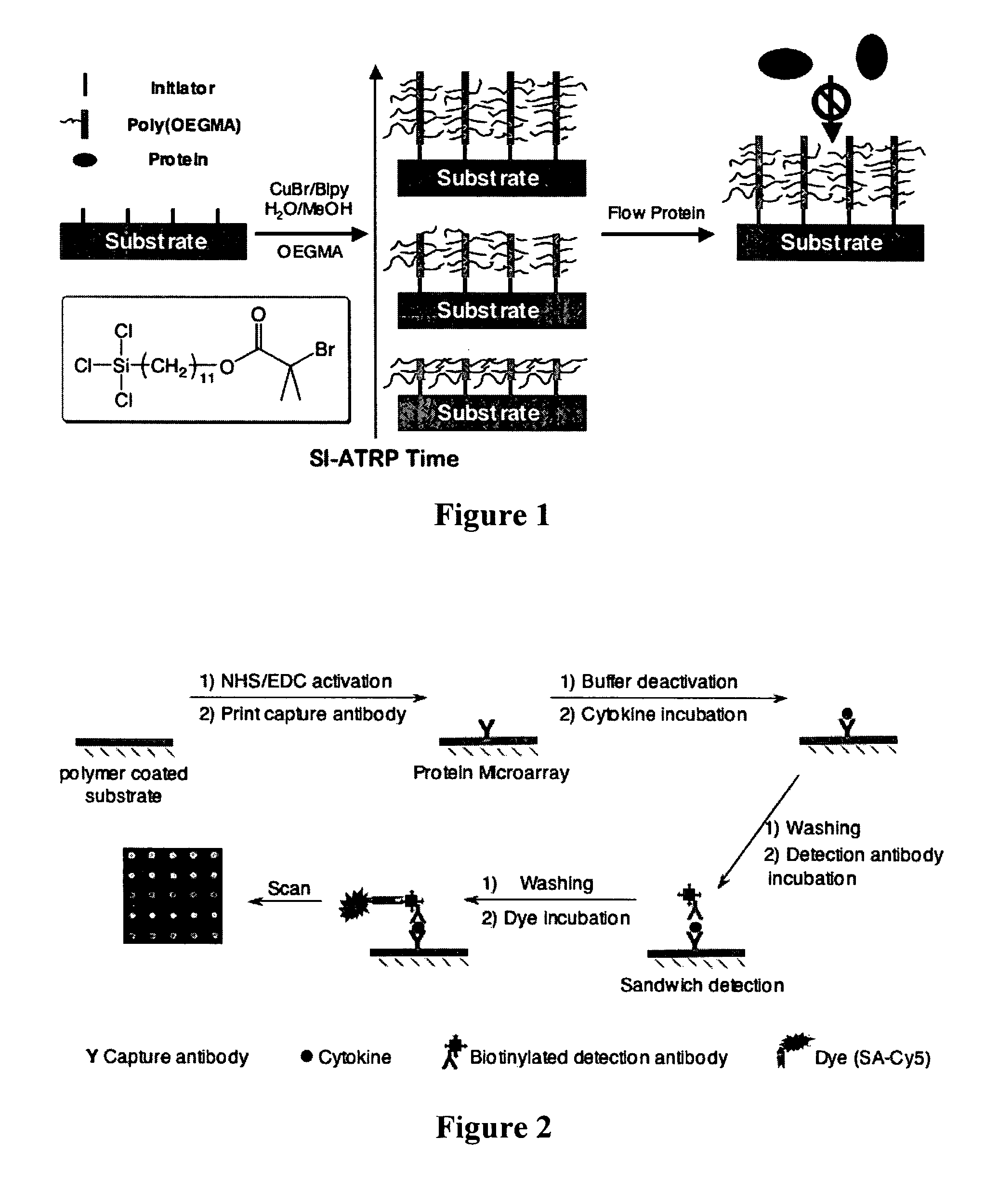 Non-fouling polymeric surface modification and signal amplification method for biomolecular detection