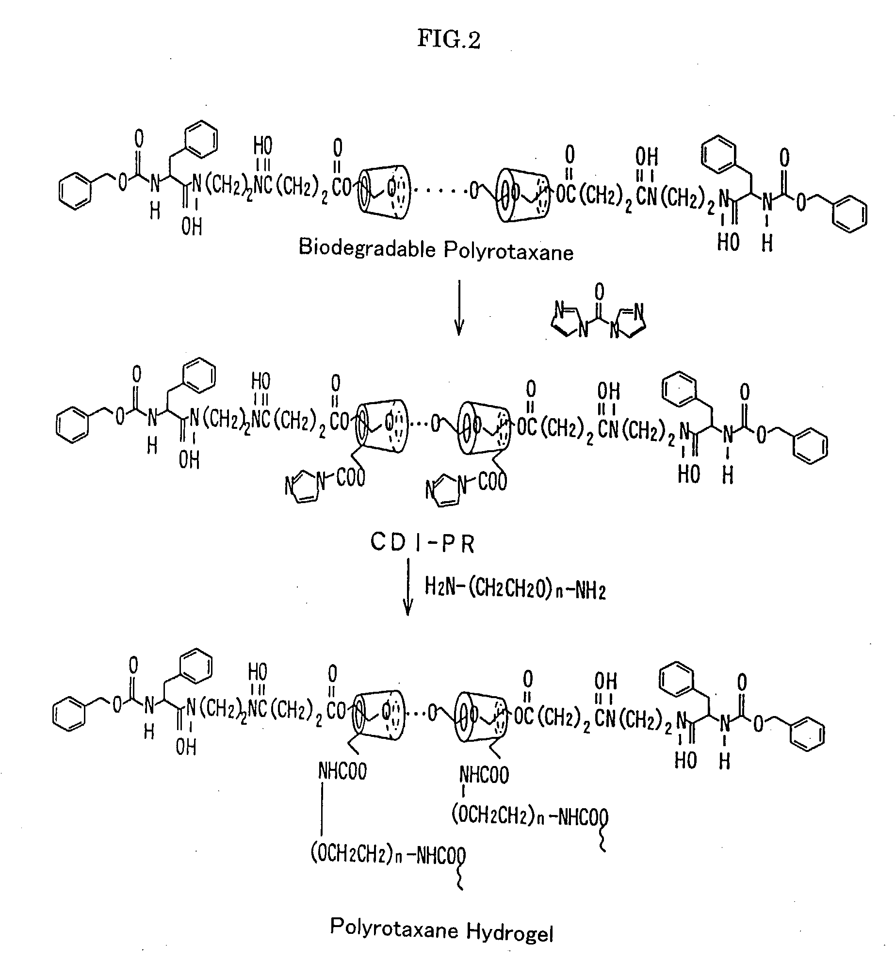 Base material for tissue reconstruction, implantable material, and methods of preparing the same