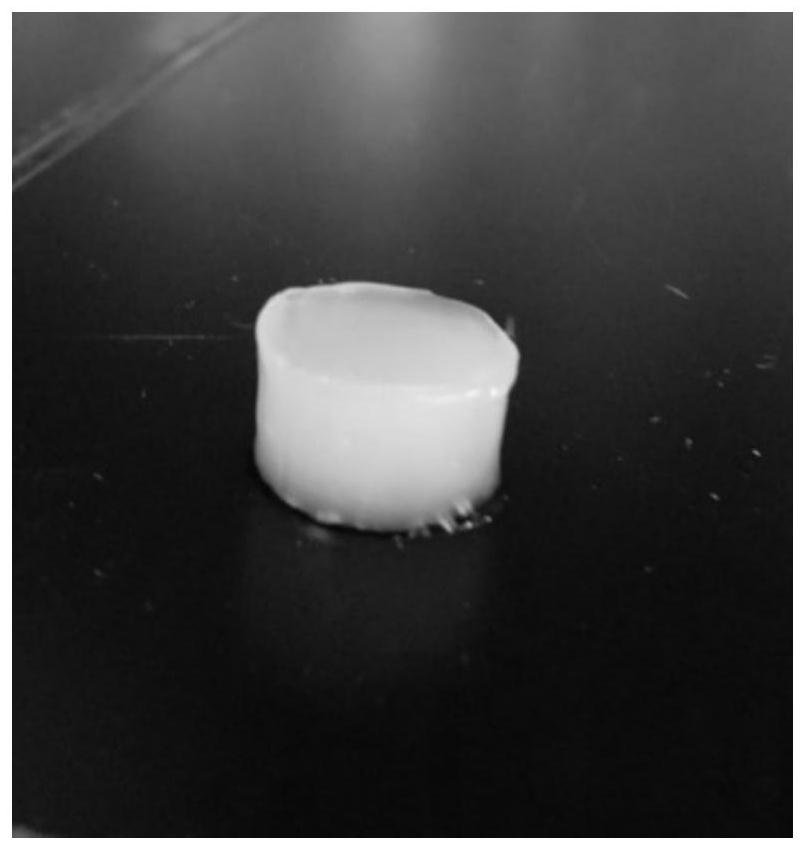 Visible-light-responsive photocatalytic antibacterial healing-promoting hydrogel and preparation method thereof