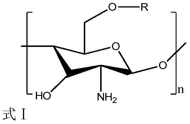 Novel chitosan grafted cinnamoyl product as well as preparation method and application thereof