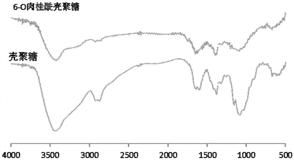 Novel chitosan grafted cinnamoyl product as well as preparation method and application thereof