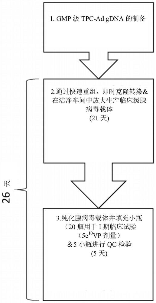 Methods and compositions for producing a virus