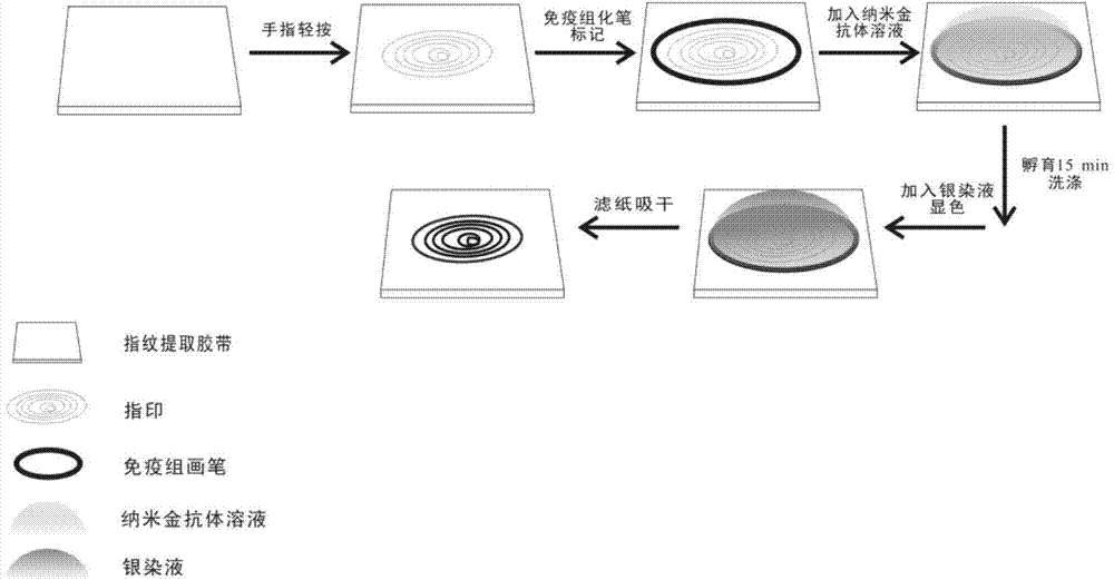 Method of detecting human sweat secretion