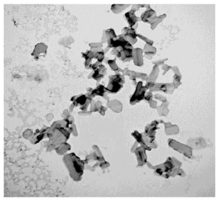 A kind of preparation method of curcumol derivative nanocrystal