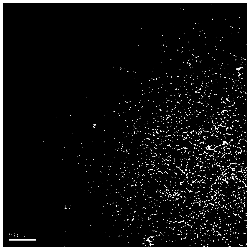 Magnetic iron-oxide nanoparticle covering method using silicon dioxide