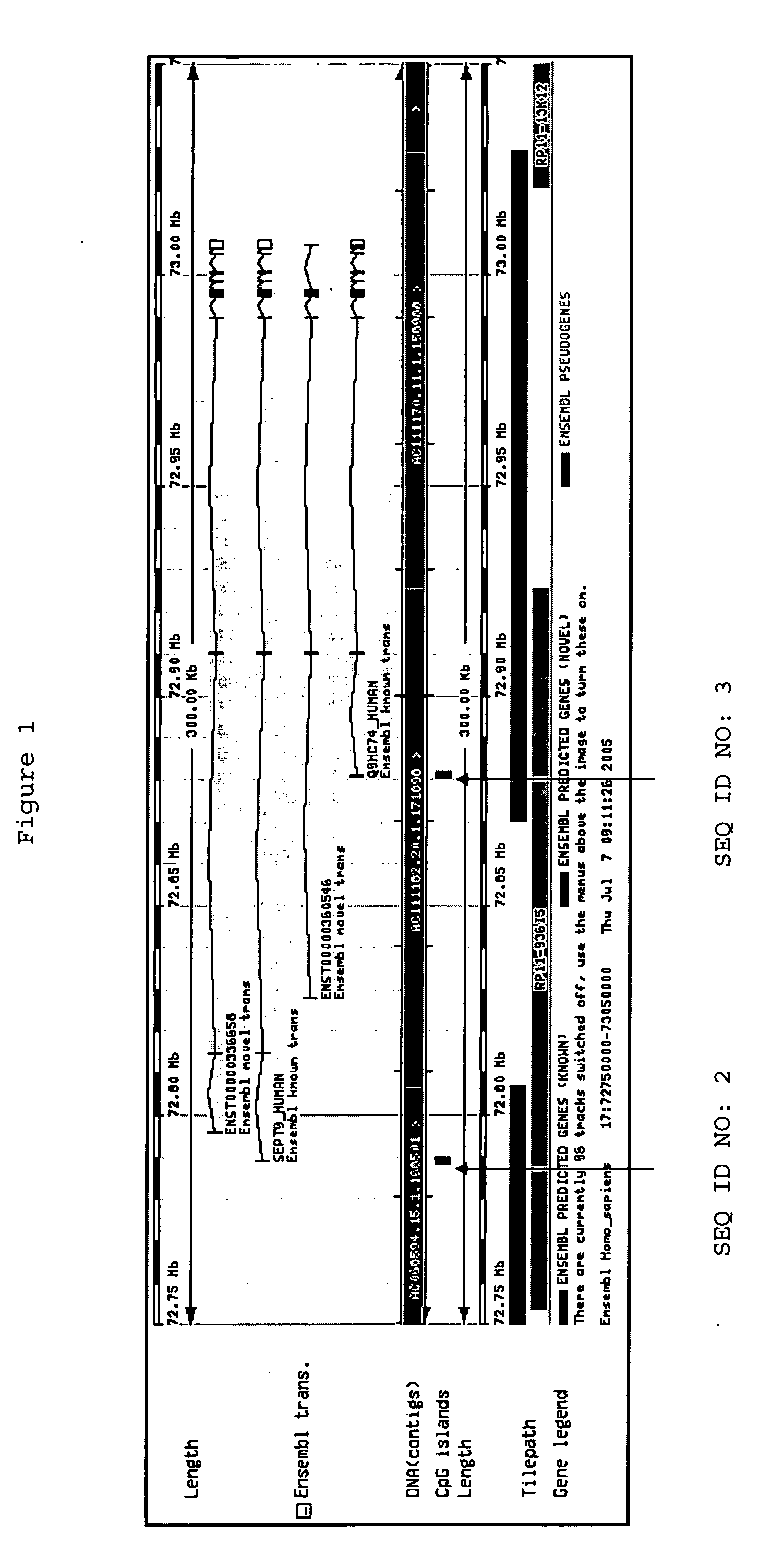 Methods and nucleic acids for the analyses of cellular proliferative disorders