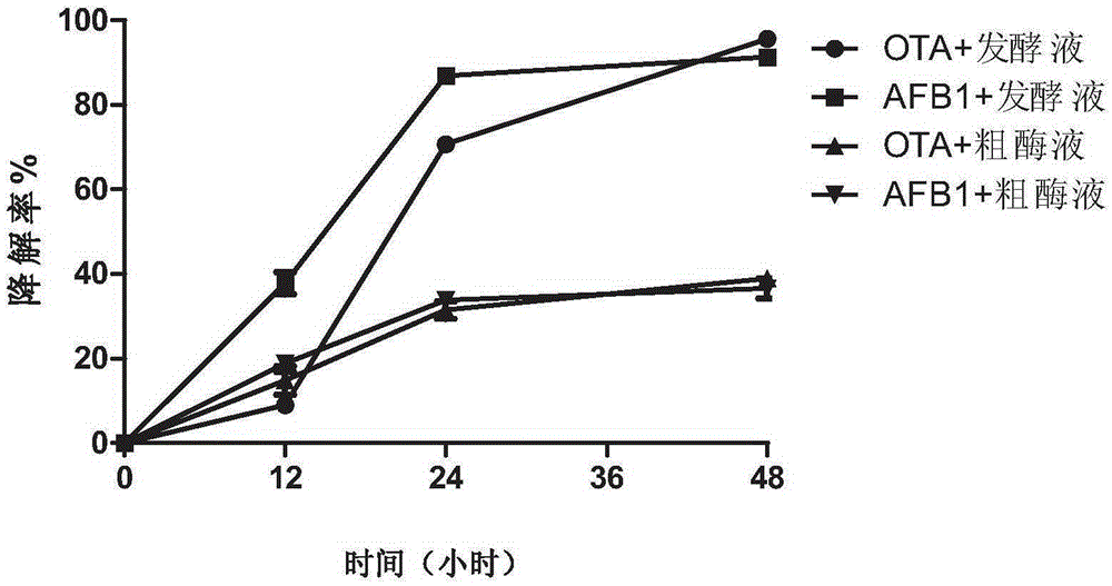 Spring water monoucleosis for degrading alflatoxin B1 and ochratoxin A and application of spring water mononucleosis