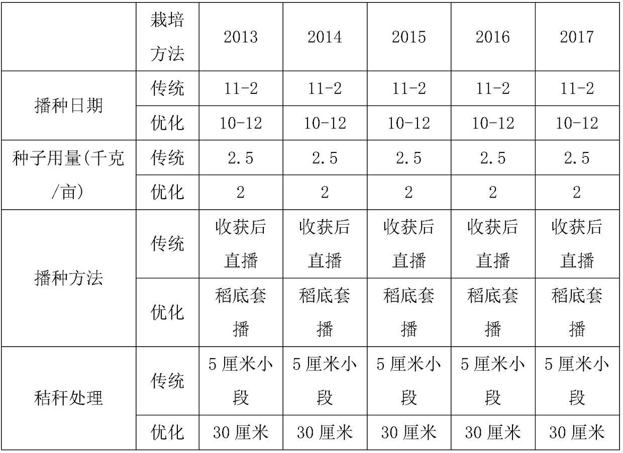 Cultivation method for reducing production risk of winter green manure of rice field