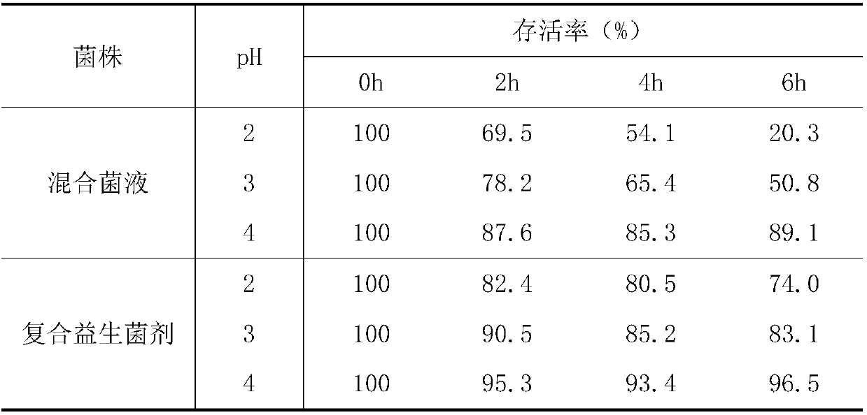 Complex probiotic preparation capable of improving intestinal function of chick and preparation method thereof