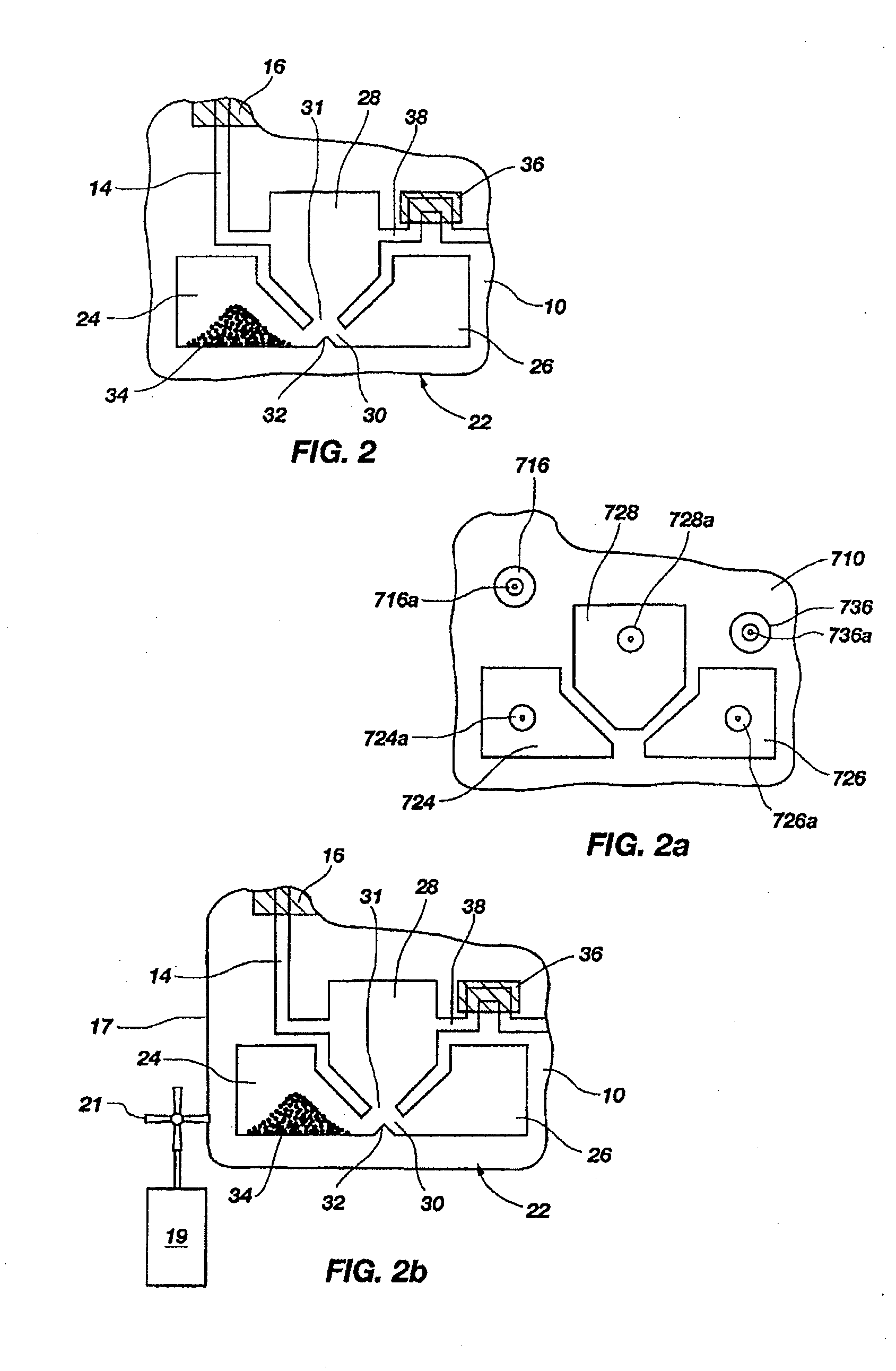 Rapid epidemiologic typing of bacteria