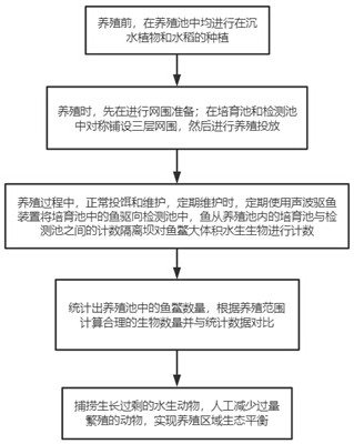 A kind of culture method for symbiosis of rice, fish, turtle and shrimp