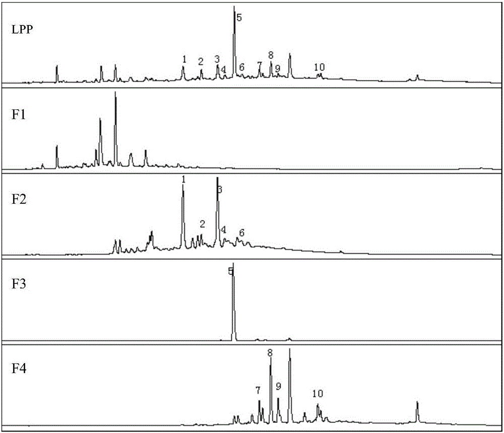 Method for purifying main-effect phenolic ingredients inhibiting hepatic cell lipid accumulation in litchi pulp