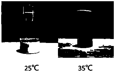 Supermolecule material and self repairing hydrogel