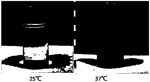 Supermolecule material and self repairing hydrogel