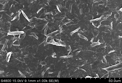 A method for preparing cellulose nano-whiskers from microcrystalline cellulose in combination with alkali treatment and high-intensity ultrasound