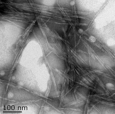 A method for preparing cellulose nano-whiskers from microcrystalline cellulose in combination with alkali treatment and high-intensity ultrasound