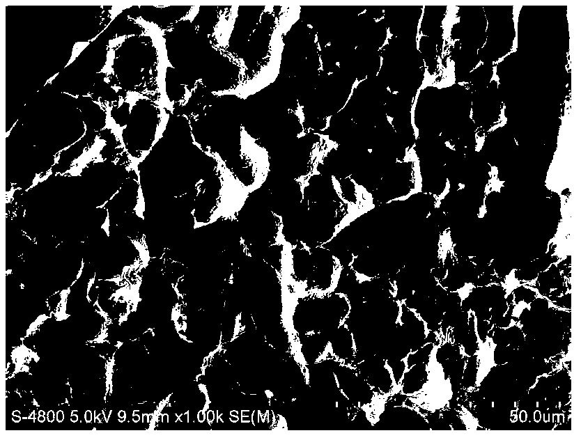 Novel freeze-drying platelet-rich fibrin, as well as preparation and application thereof