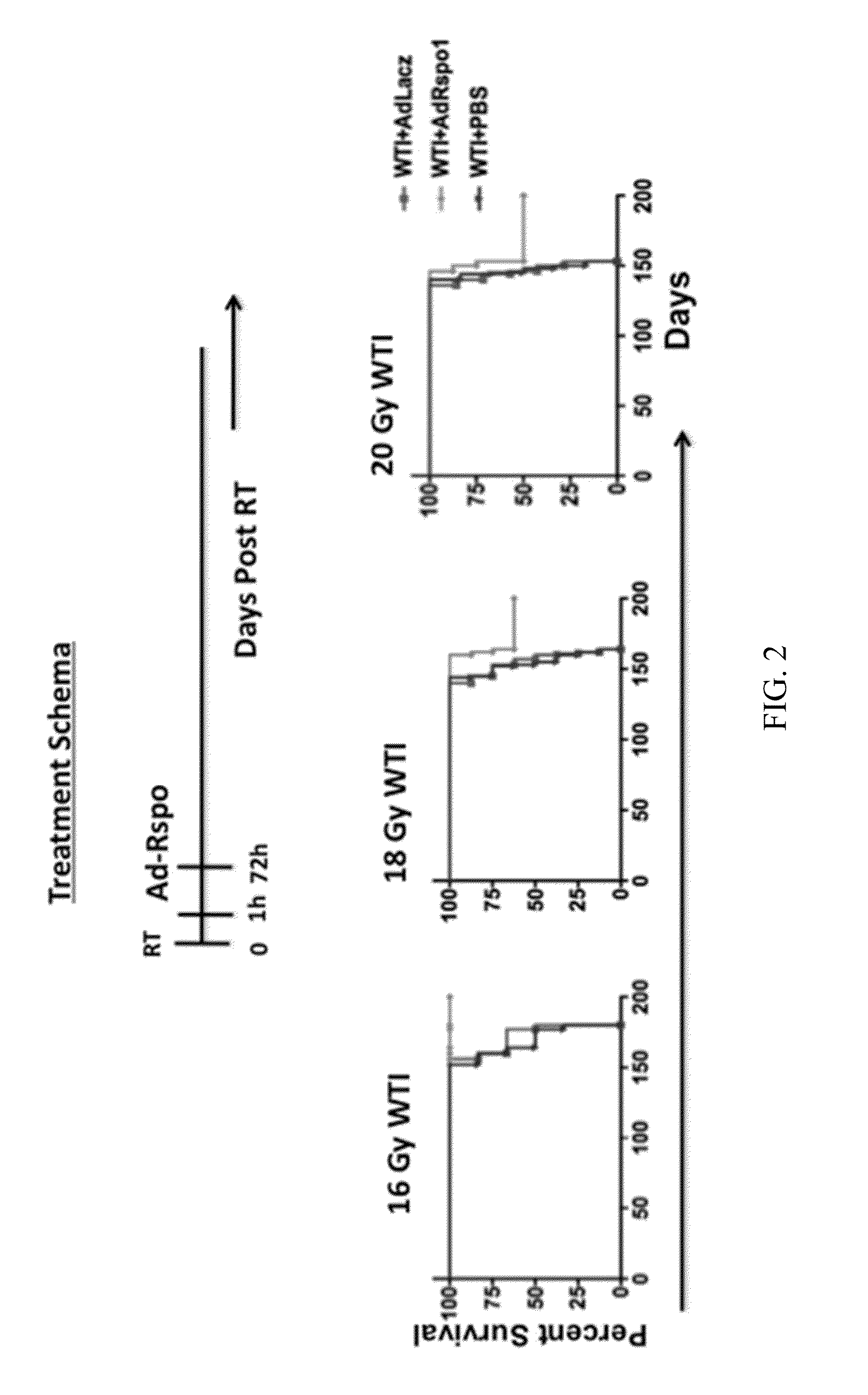 Therapy for radiation-induced lung injury