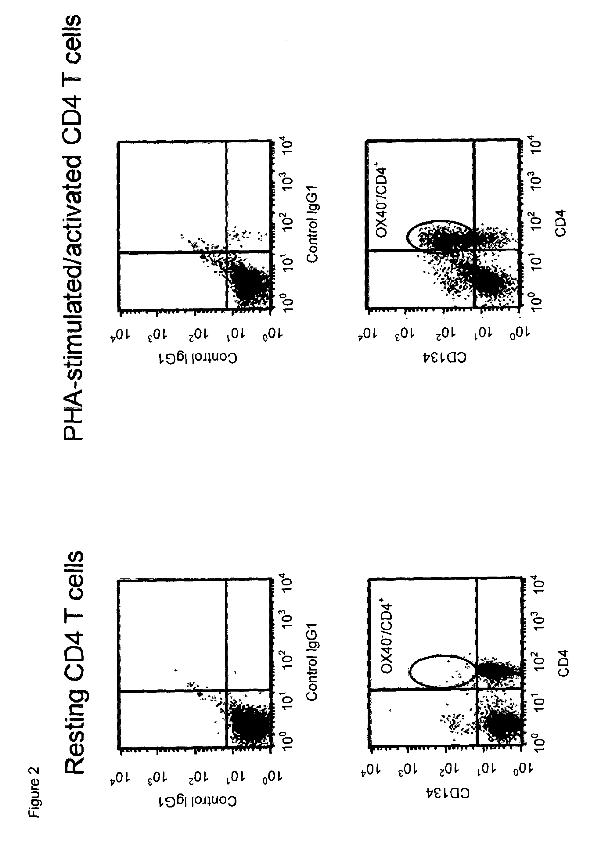 Anti-CD134 (OX40) antibodies and uses thereof