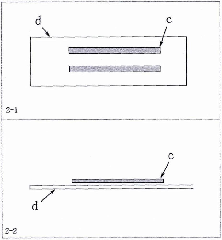 Single spore isolation method of fusarium oxysporum