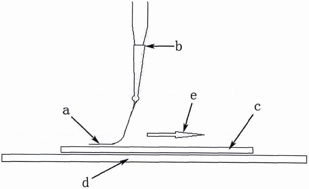 Single spore isolation method of fusarium oxysporum