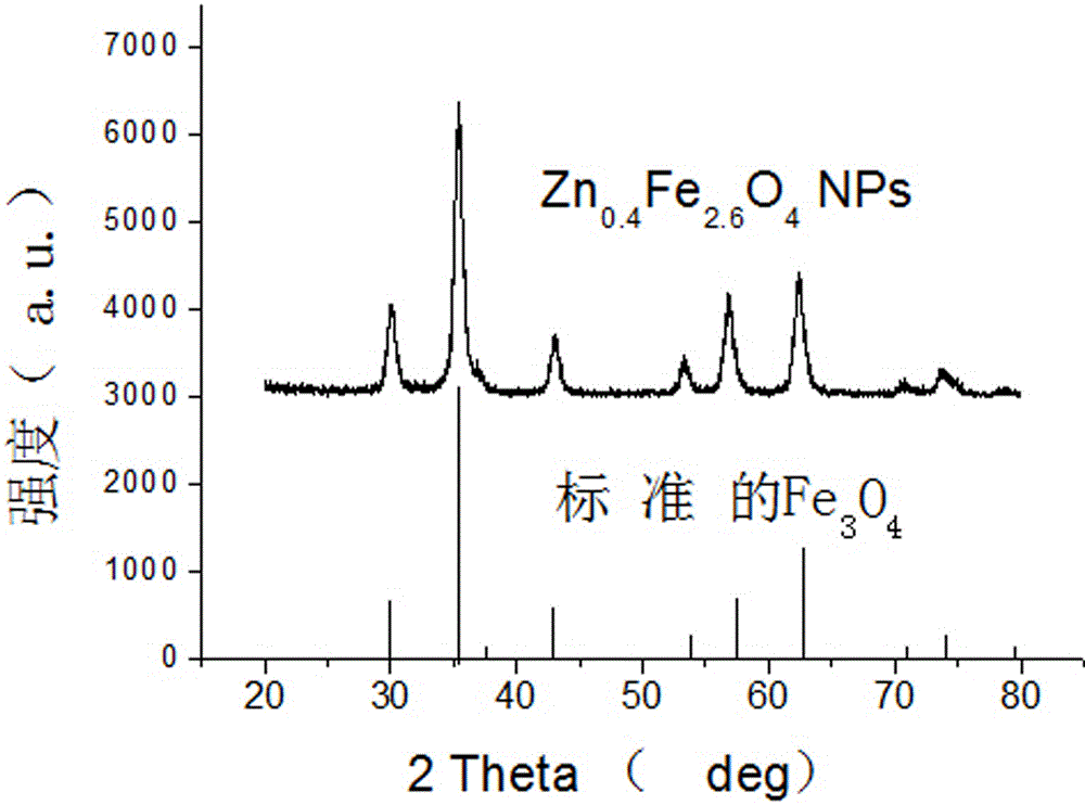 A preparation method for hydrothermal synthesis of zinc-doped superparamagnetic ferric oxide nanoparticles