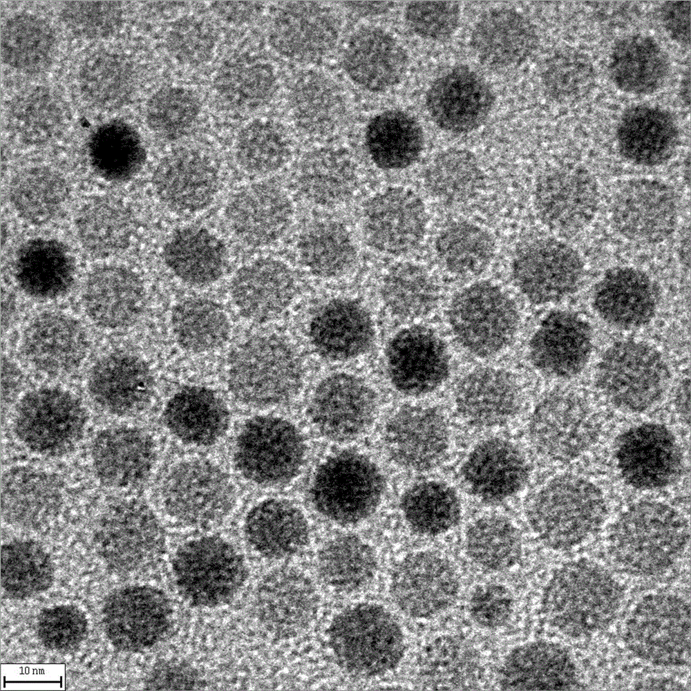 A preparation method for hydrothermal synthesis of zinc-doped superparamagnetic ferric oxide nanoparticles