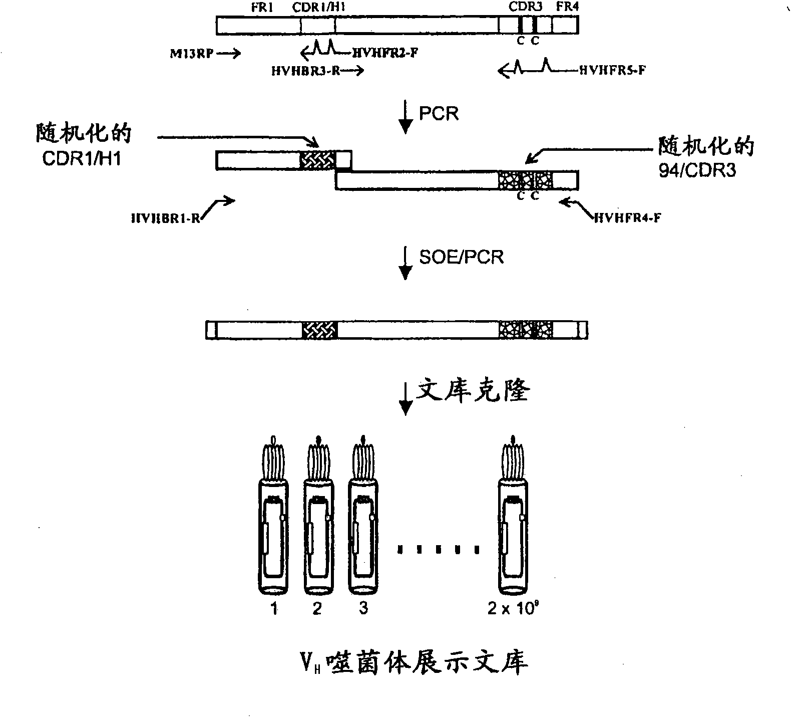 Non-aggregating human VH domains