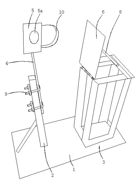 Injury simulation device of combined injury in vehicle collision