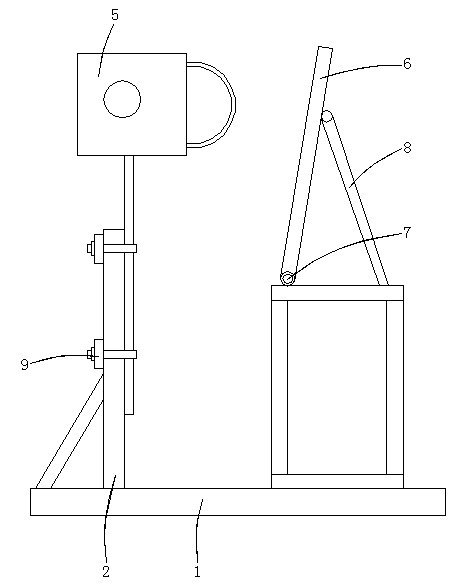 Injury simulation device of combined injury in vehicle collision